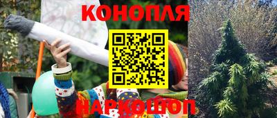 сатива Балаково