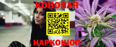 сатива Балаково