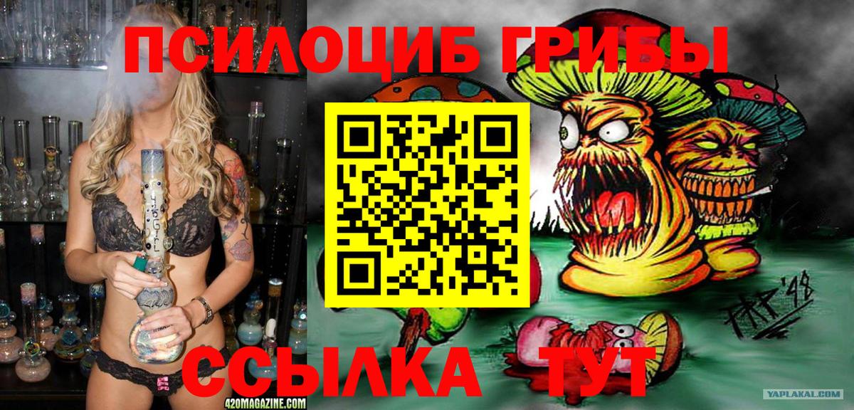 Галлюциногенные грибы GOLDEN TEACHER  Вход с VPN  Железногорск 