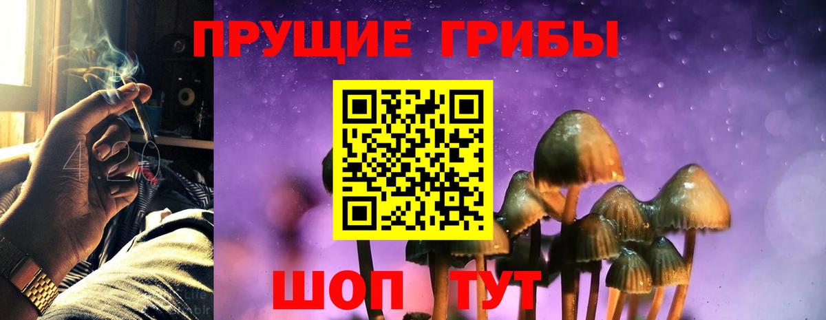 Галлюциногенные грибы мухоморы Железногорск